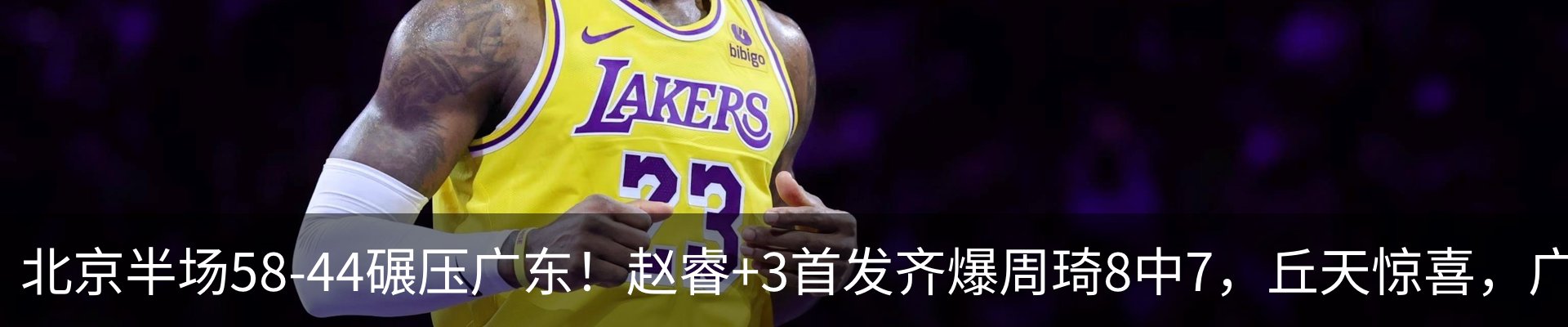 新闻动态